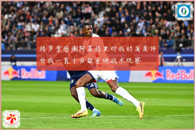 格罗索感谢阿莱格里对我的高度评价我一直十分敬重他战术观察