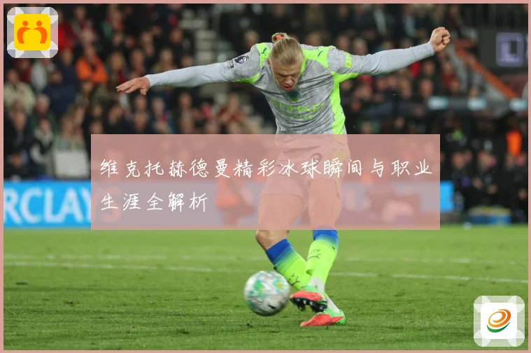 维克托赫德曼精彩冰球瞬间与职业生涯全解析