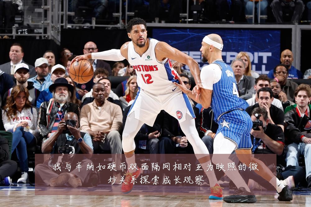 我与辛纳如硬币双面隔网相对互为映照的微妙关系探索成长观察