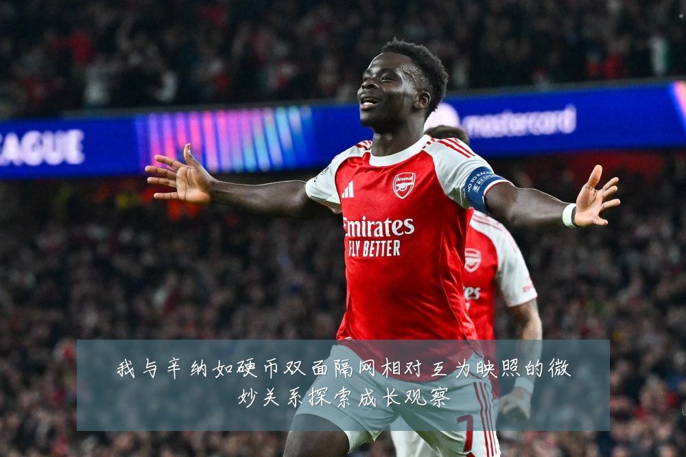 我与辛纳如硬币双面隔网相对互为映照的微妙关系探索成长观察